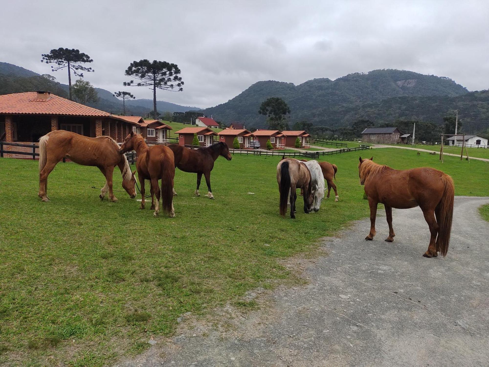 Sitio Rancho Crioulo Hotel Urubici Exterior foto